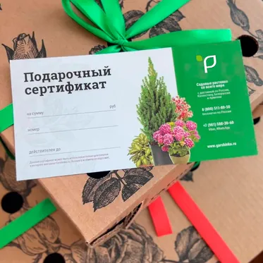 Боксы-сюрпризы