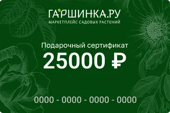Подарочный сертификат интернет-магазина «Гаршинка.ру» номиналом 25000 рублей