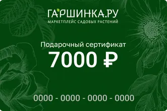 Подарочный сертификат интернет-магазина «Гаршинка.ру» номиналом 7000 рублей