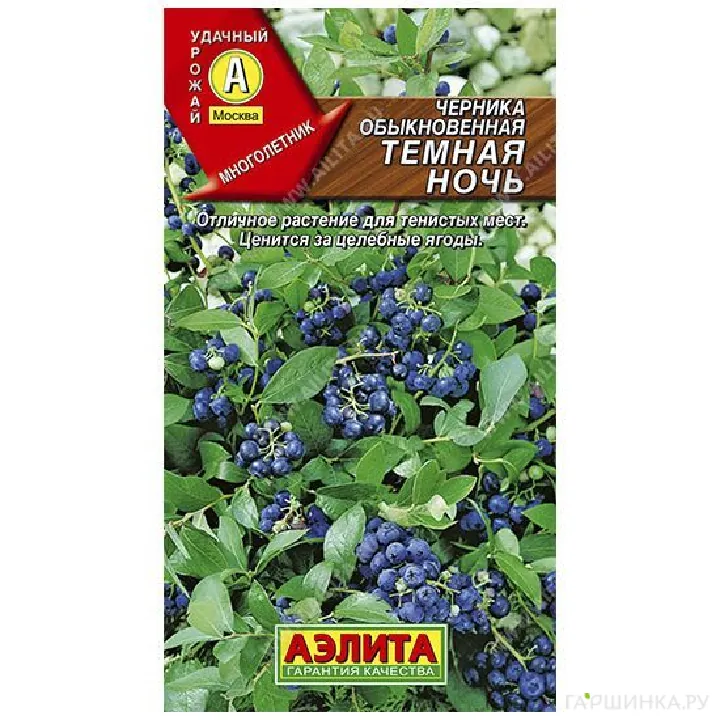 Черника Темная ночь 0,01гр ЦП