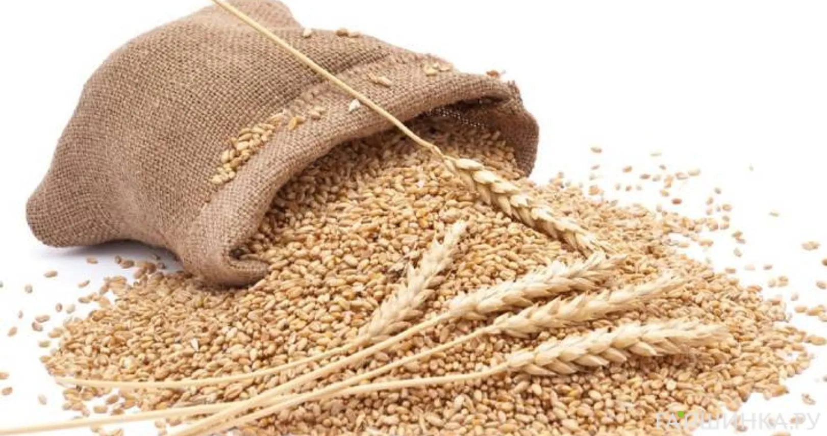 Пшеница 0,5 кг