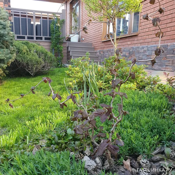 превью изображения отзыва