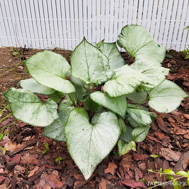 превью изображения отзыва