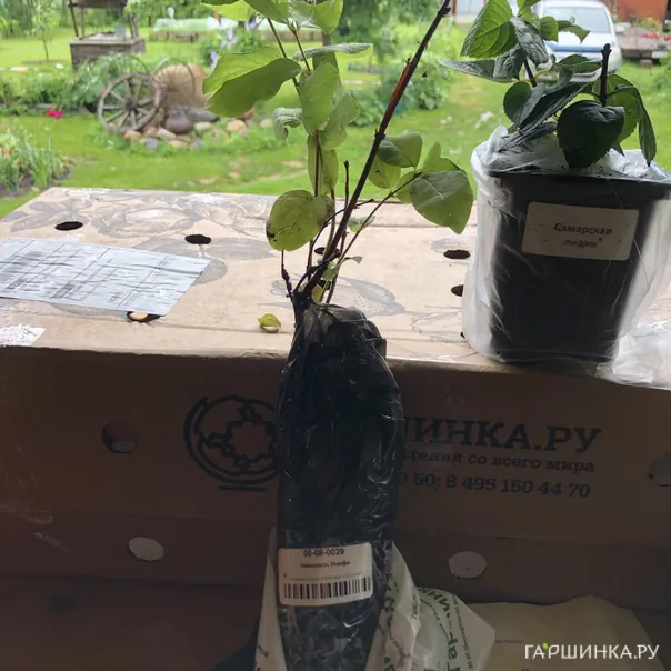 превью изображения отзыва