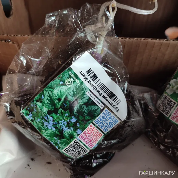 превью изображения отзыва