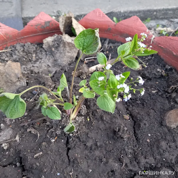 превью изображения отзыва