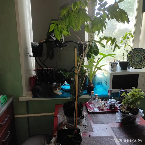 превью изображения отзыва