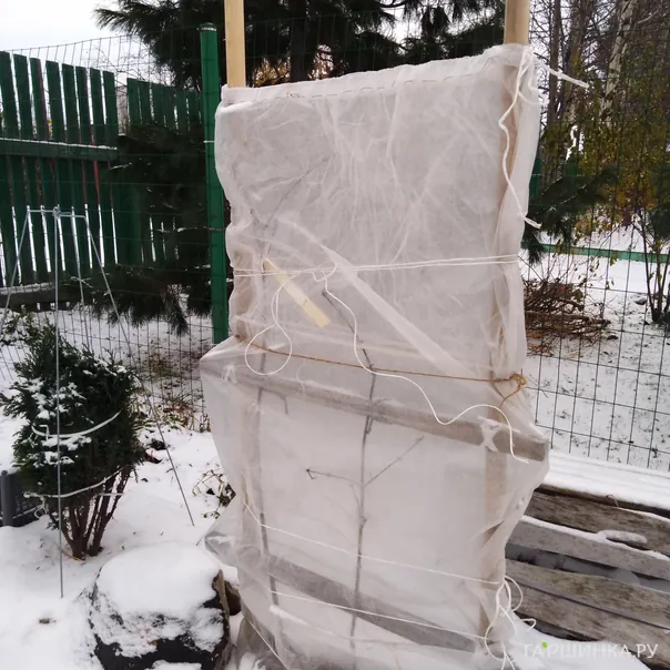 превью изображения отзыва