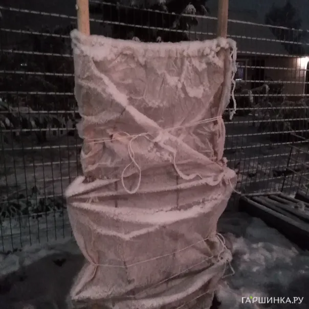 превью изображения отзыва