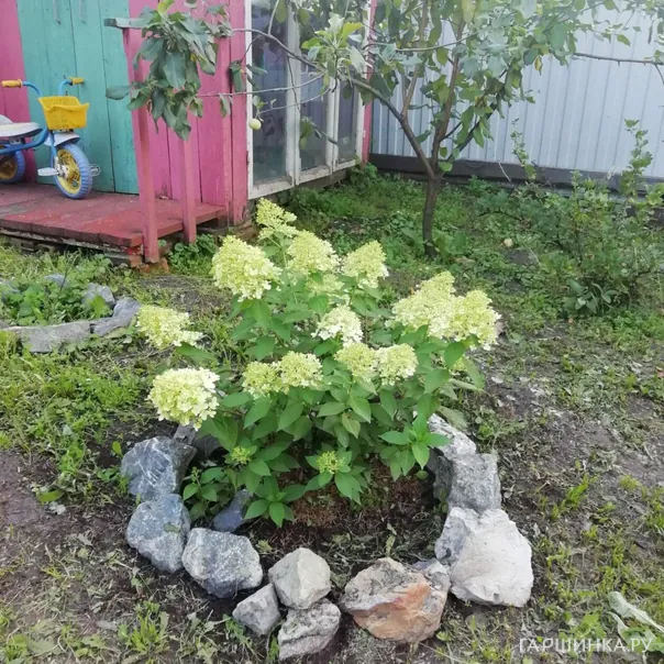 превью изображения отзыва