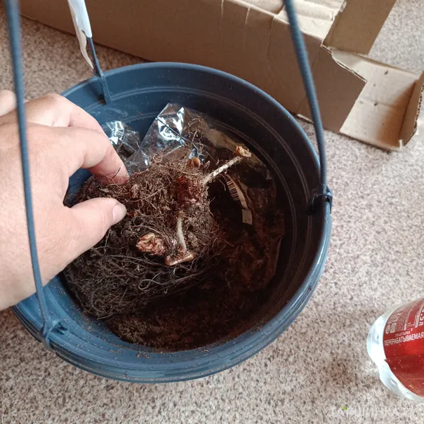 превью изображения отзыва