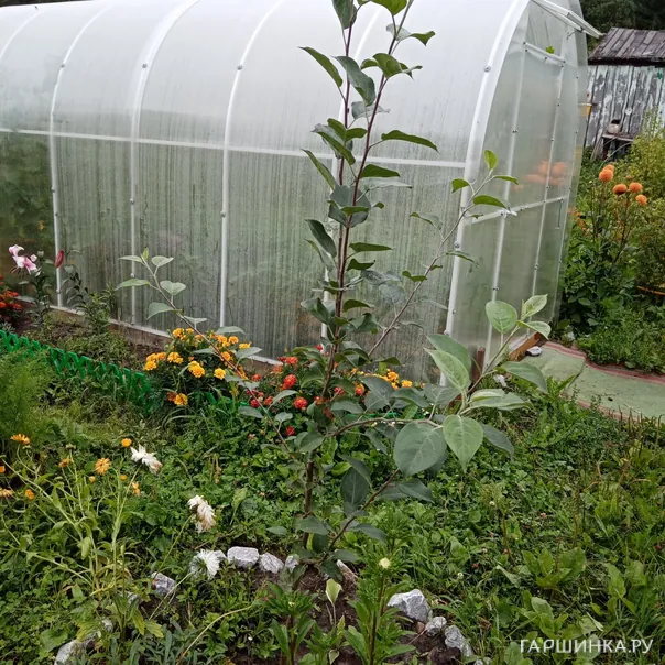 превью изображения отзыва