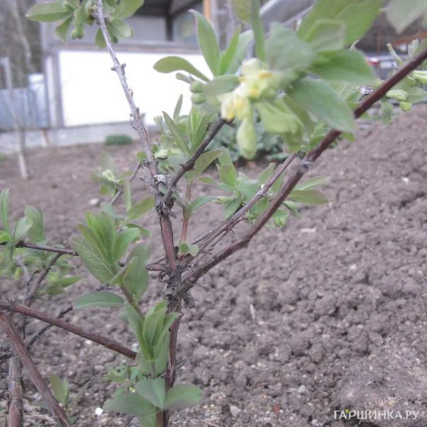 превью изображения отзыва