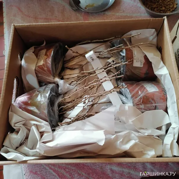 превью изображения отзыва