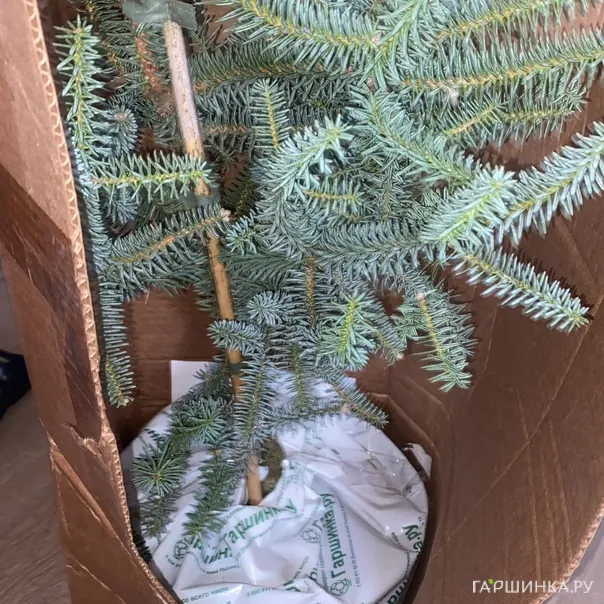 превью изображения отзыва