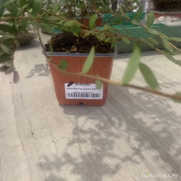 превью изображения отзыва