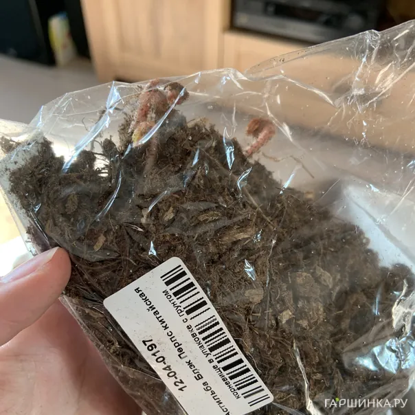 превью изображения отзыва