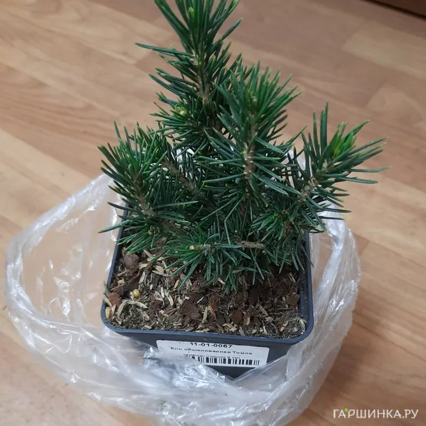 превью изображения отзыва