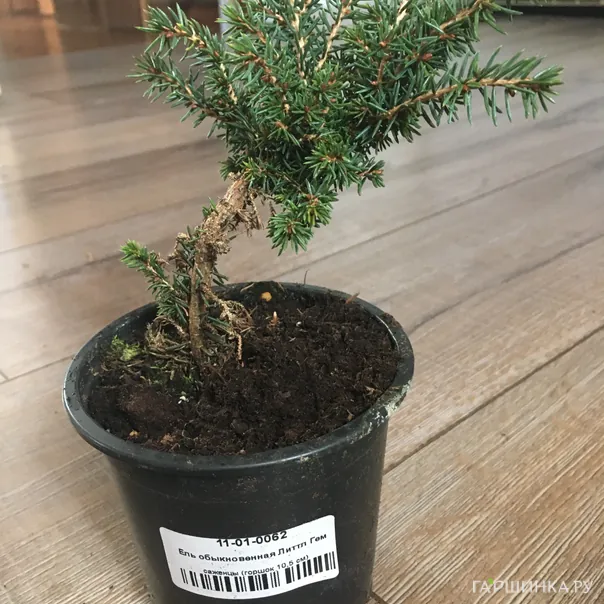 превью изображения отзыва