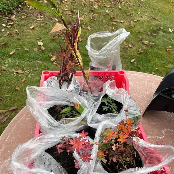 превью изображения отзыва