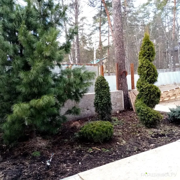 превью изображения отзыва