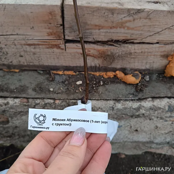 превью изображения отзыва