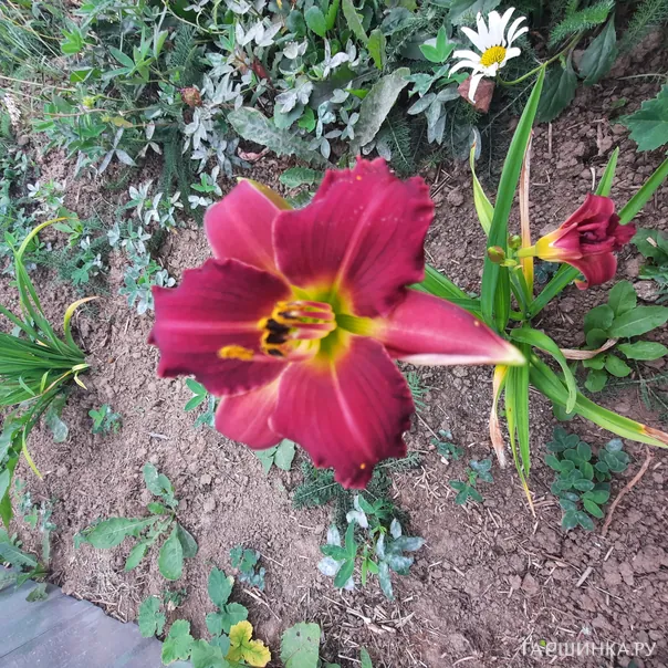 превью изображения отзыва