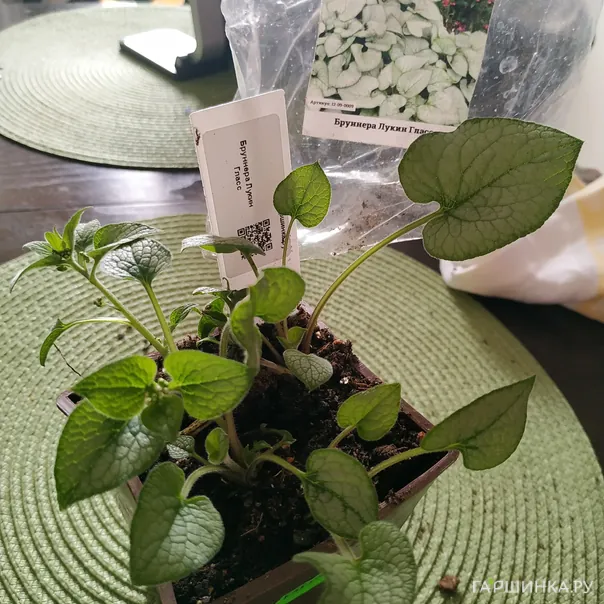 превью изображения отзыва