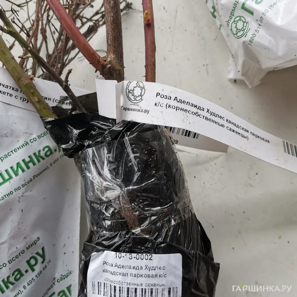 превью изображения отзыва